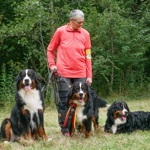 German Winner Show 2025 Gelsenkirchen