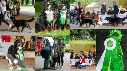 Ausstellungsbesuch für Atze und seine Familie