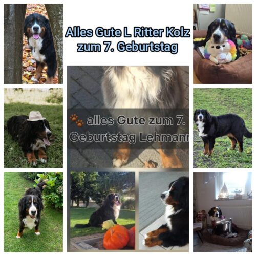 Happy Birthday zum 7. den L-Kindern vom Ritter Kolz