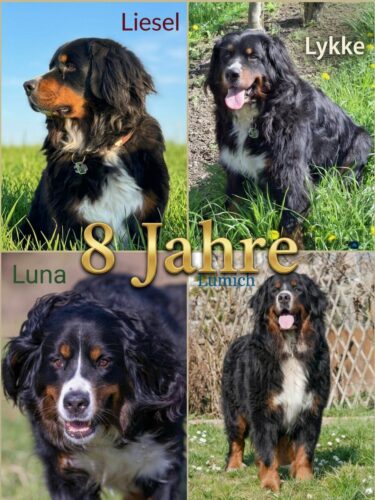 Happy Birthday zum 8 ! Timurs Kindern L „vom Ritter Burkart“
