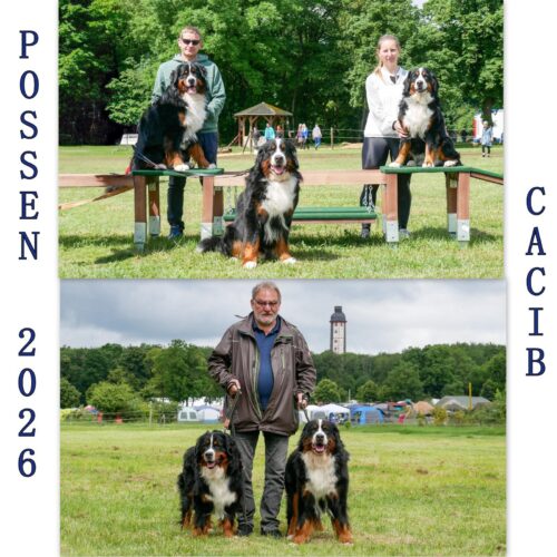 CACIB Ausstellung Sondershausen / Possen